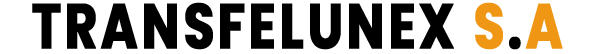logo ligth t